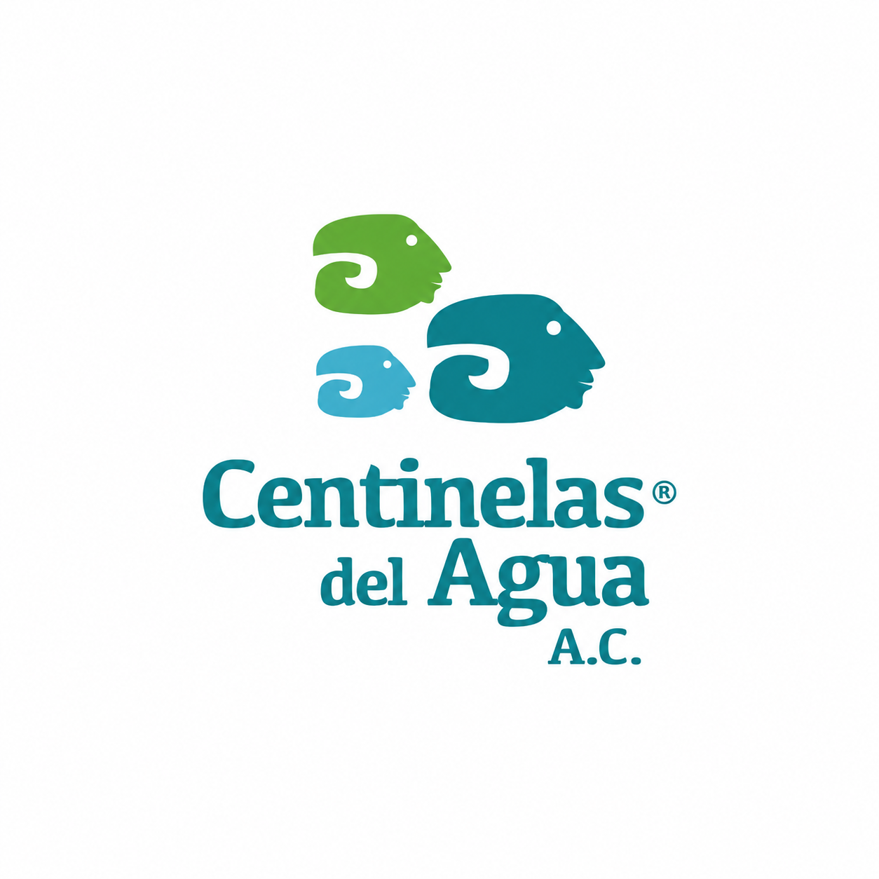 Centinelas del Agua