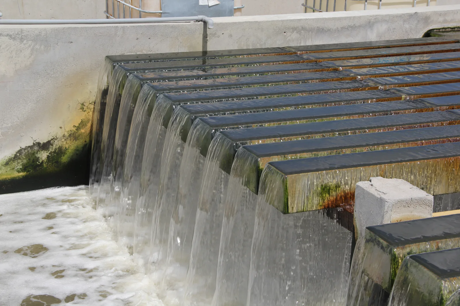 Vertedero de agua en San Pedro Mártir